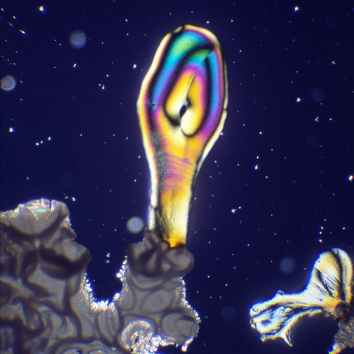 Normalizer – VIAGRA